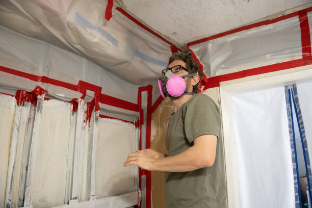 Best Mold Damage Restoration  in Foothill Farms, CA