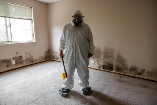 Best Mold Odor Removal Services  in Foothill Farms, CA